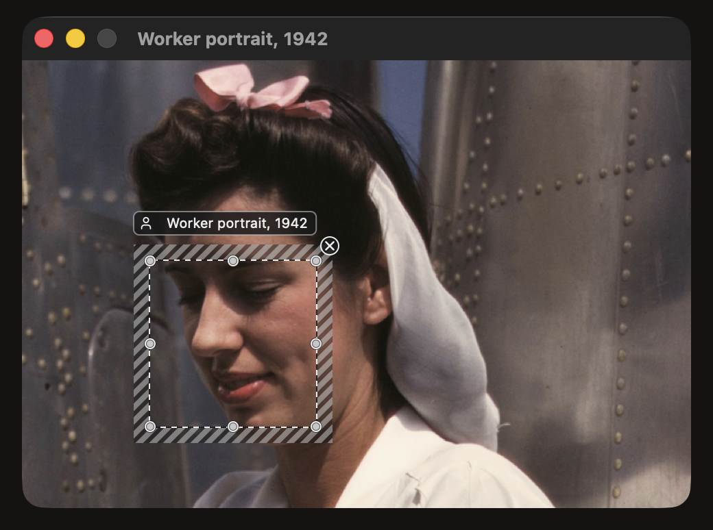 A face in a sample photograph enclosed by SideScopes' striped editable region boundary.
